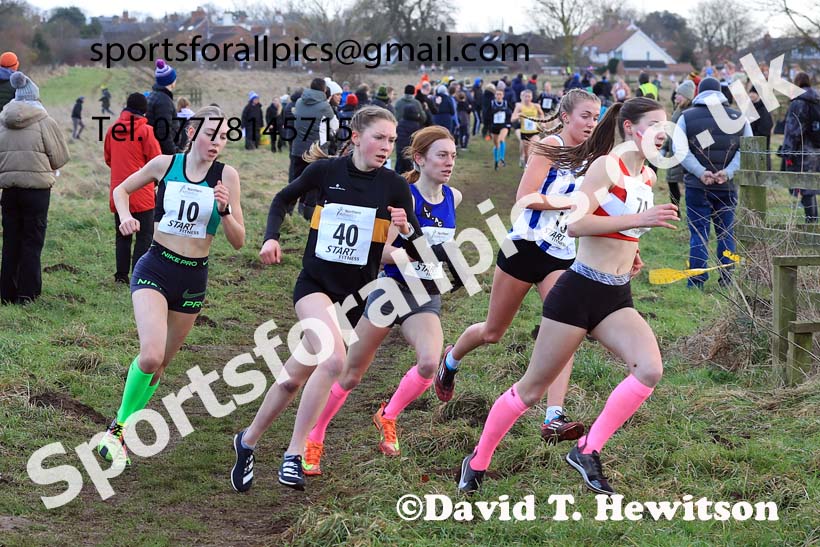 Womens Under-17s 2024 Northern Cross Country Champs., Sedgefield. Photo: David T. Hewitson/Sports for All Pics